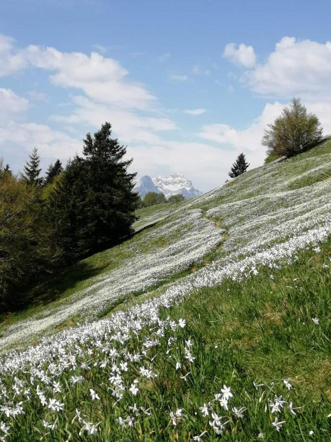 Apartmaji Volf Zgornje Gorje Exterior foto